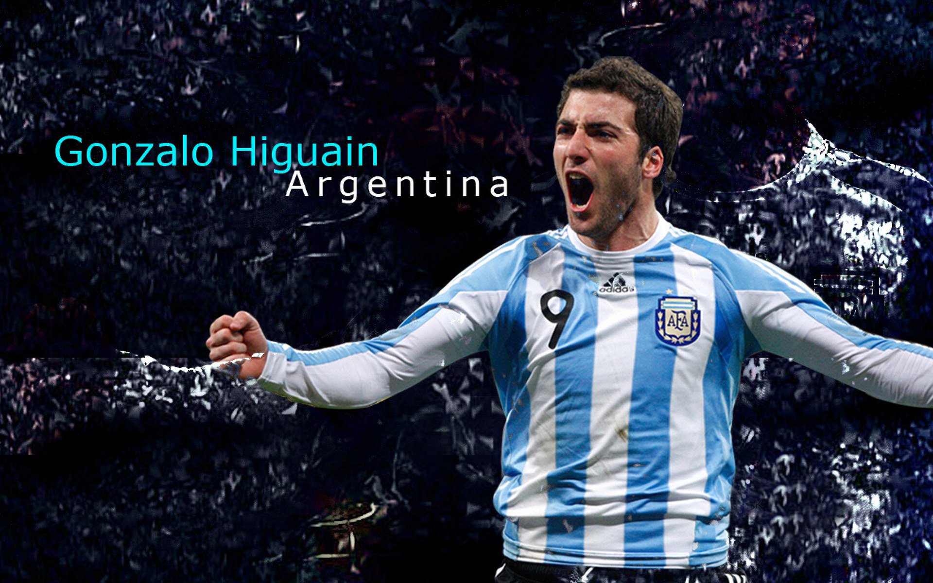 Scout迎来十二赛季高光表现，热火球迷沸腾！